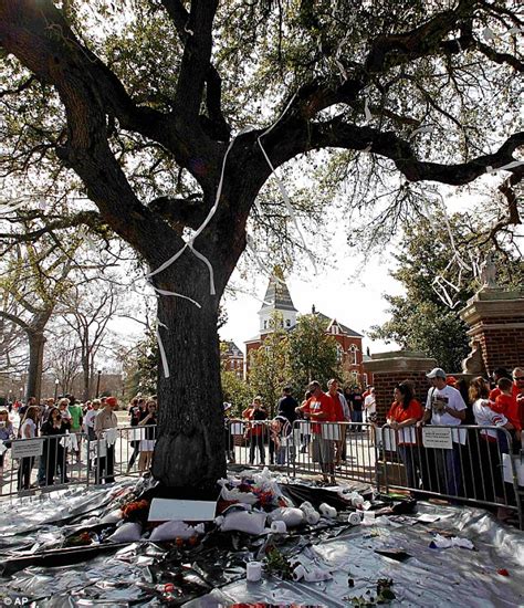 al poisoning auburn tree radio|auburn university oak tree.